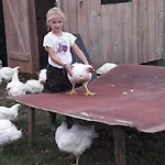 Farm stay Beim Heiss'n *
