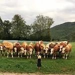 Farm stay Beim Heiss'n