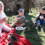 Beim Heiss'n Farm stay *