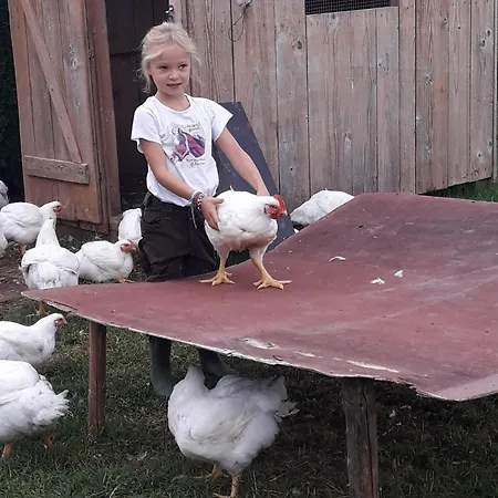 Farm stay Beim Heiss'n *