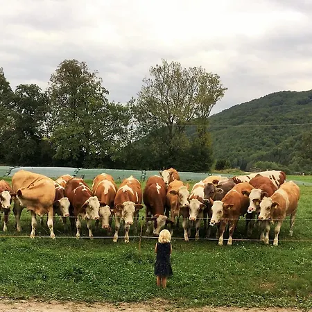 Farm stay Beim Heiss'n