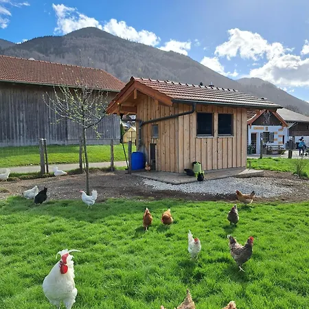 Beim Heiss'n Feriegård