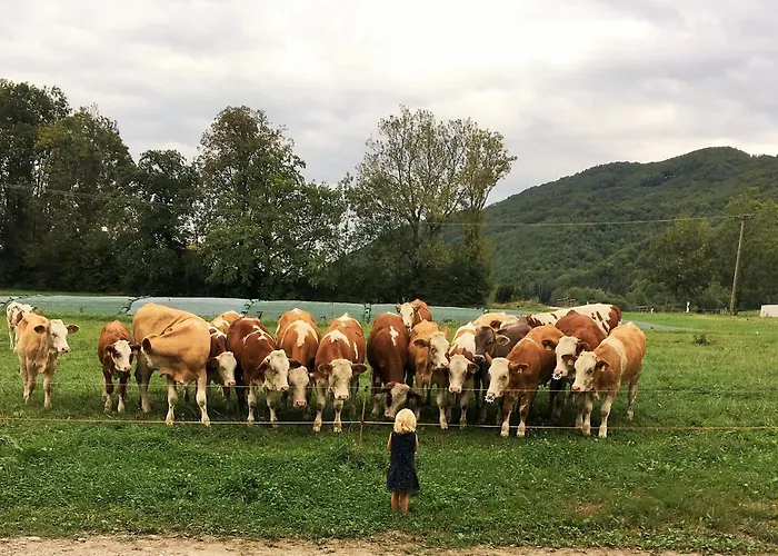 Farm stay Beim Heiss'n