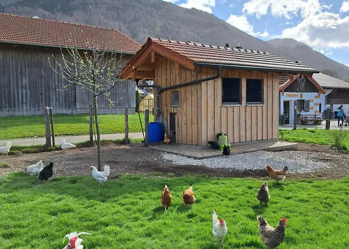 Beim Heiss'n Farm stay